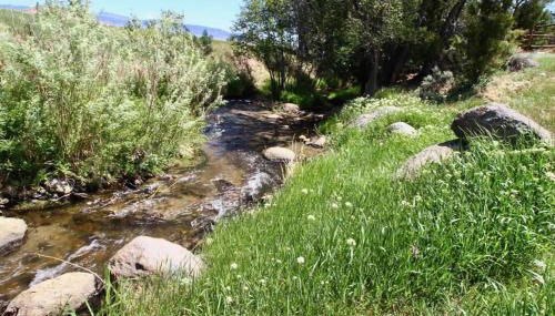 New! Lower Level Ranch Home - 10 mins to Town - Foto 4