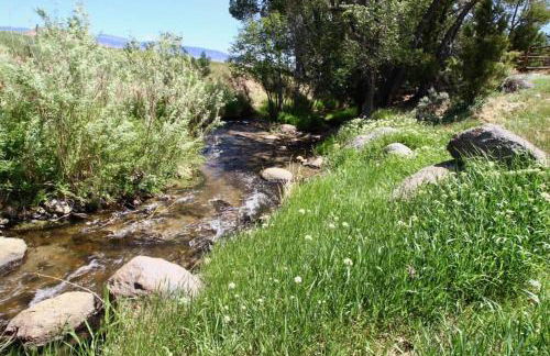 Charming, Spacious, Contemporary Mountain Retreat - Foto 34