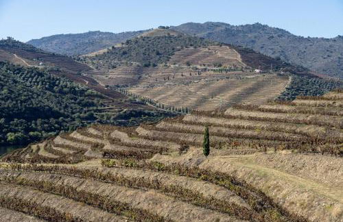 Quinta das Amendoeiras - Foto 79