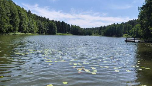 Dom Nad Jeziorem - Photo 5