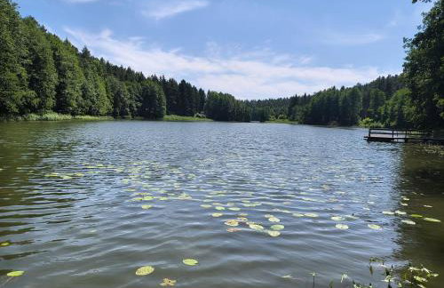 Dom Nad Jeziorem - Photo 5