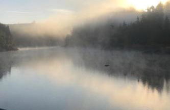 Apartment Gartenblick by Interhome - Foto 42