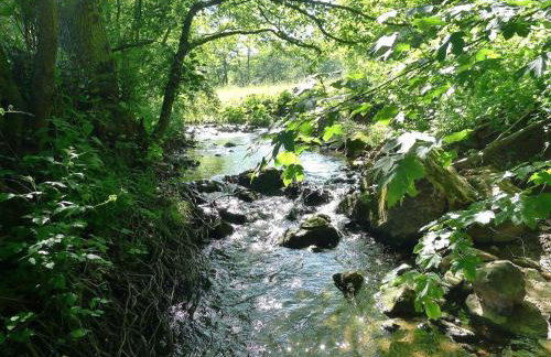 Solveigs Ferienwohnung - Foto 16