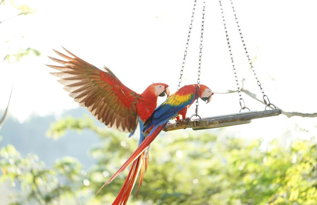 Villas Welcome to Heaven - Foto 74