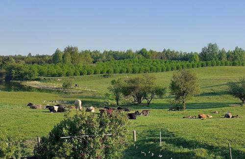 Marcinowa Zagroda - Foto 37