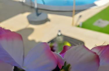 Cantinho de Paz - Foto 14