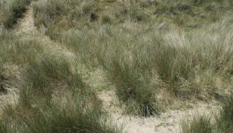 Gîte la brêche des chars - Foto 3