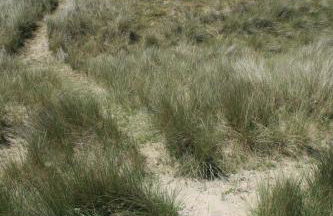 Gîte la brêche des chars - Foto 3