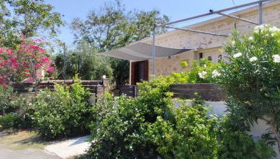 Cretan cottage of 1900 with beautiful olive yard - Photo 5