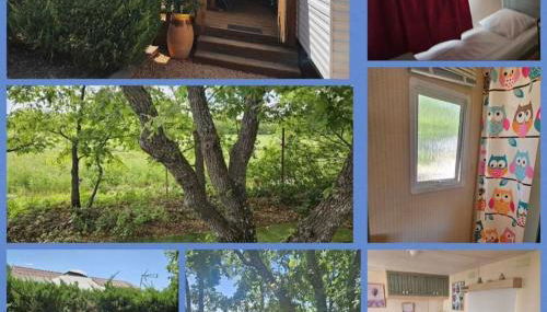 Au cœur de la provence - Foto 3