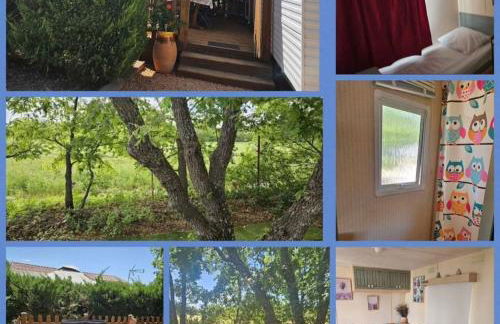 Au cœur de la provence - Foto 3