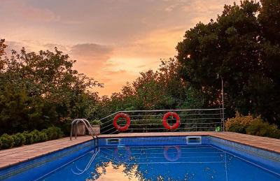 Casa Uma Turismo Rural - Photo 31