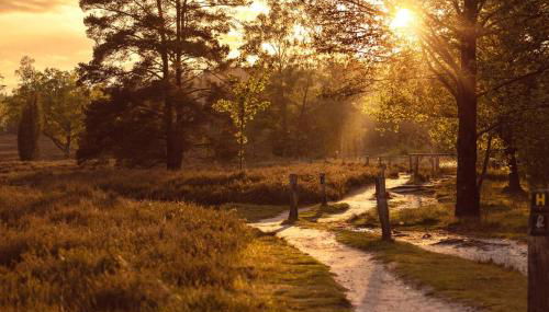 Schönstes kleines Ferienhaus in der Lü-Heide - Foto 4