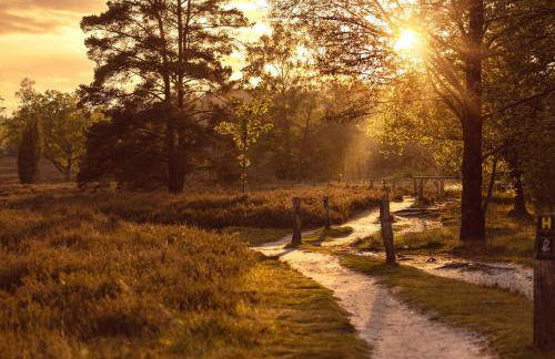 Schönstes kleines Ferienhaus in der Lü-Heide - Foto 4