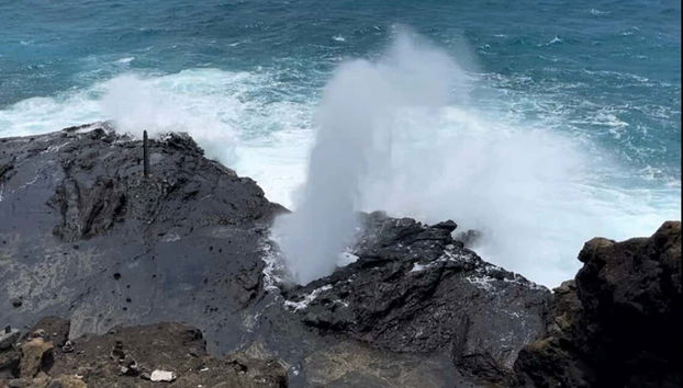 Oahu East Shore Private Tour - Foto 3