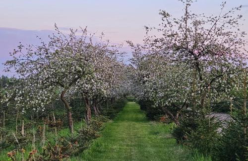 Sielski Dom I Sauna i Jacuzzi dodatkowo płatna opcja - Foto 31