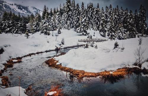 ΑΡΧΟΝΤΙΚΌ Μουζάκι ΚΑΡΔΙΤΣΑ ΤΡΙΚΑΛΑ - Photo 15
