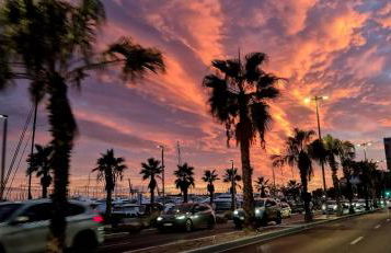 Alicante Sea View - Photo 15