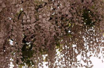 Colonna Country Home - Foto 47