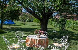 Nel Giardino Degli Ulivi - Foto 6