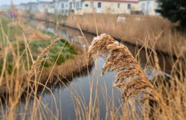 Whitstable staycation - Family & Pet Friendly - Alberta Holiday Park - Foto 19