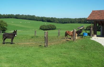 Gite Du Colombier - Foto 38