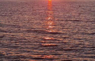 Apartmani Ruzmarin - Foto 27