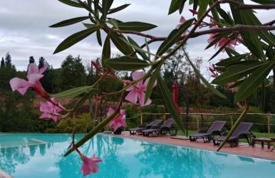 Podere dell'Anselmo - Foto 106