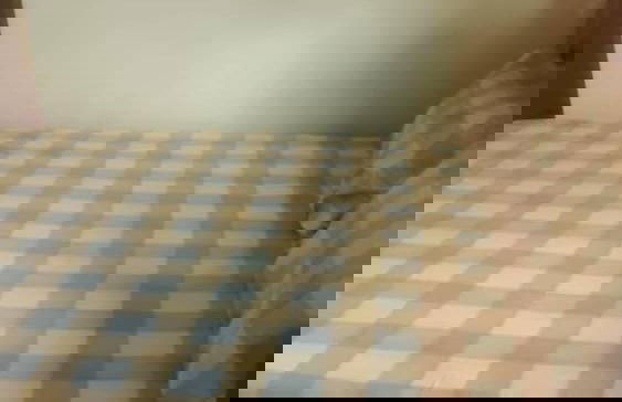 Sharon Rose Hotel - Photo 3