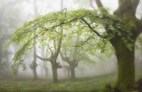 Apartamento Orereta near San Sebastián - Foto 33