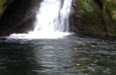 Ferienwohnung Mohr - Foto 29