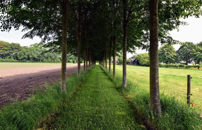 Authentic Mansion in Deil near Lake - Foto 64