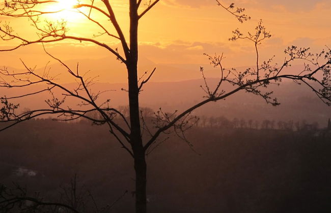 RSH Luxury Casale Sabina Valley - Foto 24