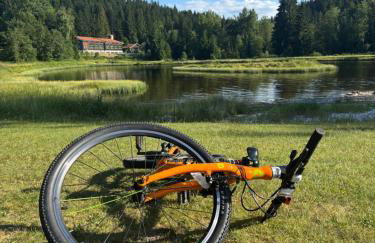 Aotearoa - Mountain apartment in Bavaria, Mitterdorf - Mitterfirmiansreut - Foto 46