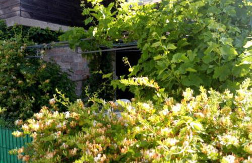 Les Gites de l étang :Studio à 20 mn de Gerardmer - Foto 27