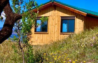 Cortijo Al-Andalus - Foto 5