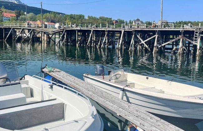 6 Person Holiday Home in Hamnvik - Foto 51