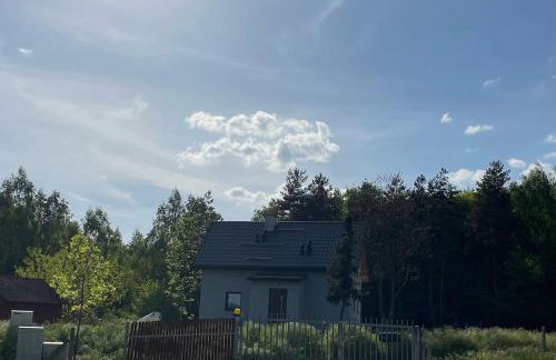 Winnica Bracia Petrasz - Foto 1