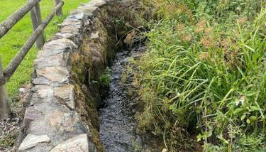 BumbleBee Lodge - Photo 3