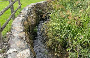 BumbleBee Lodge - Photo 3