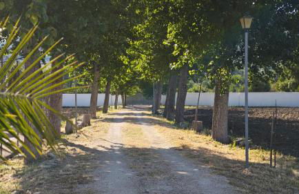 Villa Aljara - Photo 43