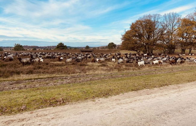 Ahlers Holiday Apartment - Foto 19