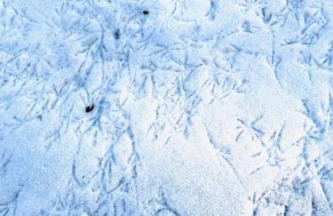 Guest Favorite Garuda Apartment 8 - Foto 26