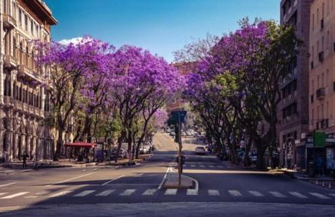 Casa Mascia Pinna - Foto 50