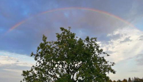 Eifelferienkurth - Photo 5