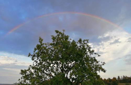 Eifelferienkurth - Photo 5