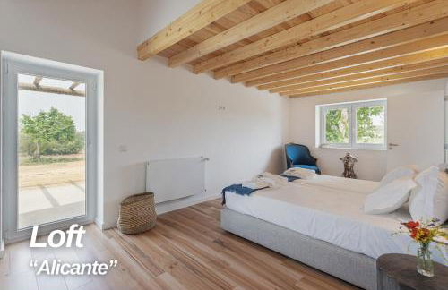 Alojamentos Plansel - No Coração das Vinhas do Alentejo - Foto 14