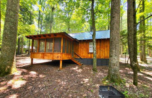 Summer Breeze cabin at Cabin Fever in NC - Foto 17