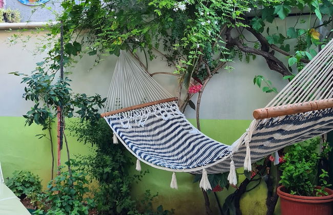 Villa George - Foto 54