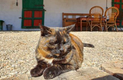 BirnenhofArts - Foto 18